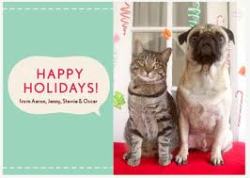 Who is/will be included in the photo(s) for your holiday card this year?